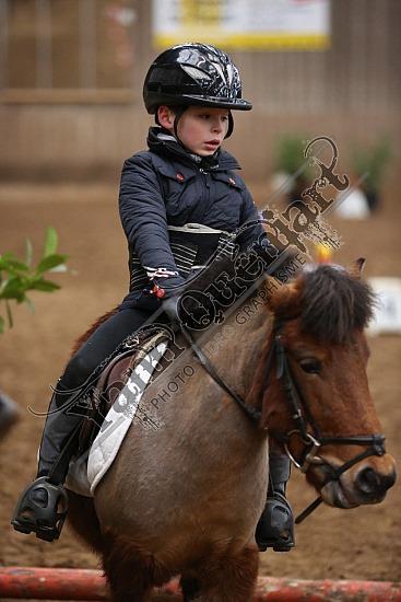 8Q2B7453.jpg Dimanche 1 Février 2015 - Chevalerie de la Bretèque - Equifun 