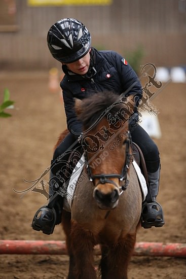 8Q2B7474.jpg Dimanche 1 Février 2015 - Chevalerie de la Bretèque - Equifun 