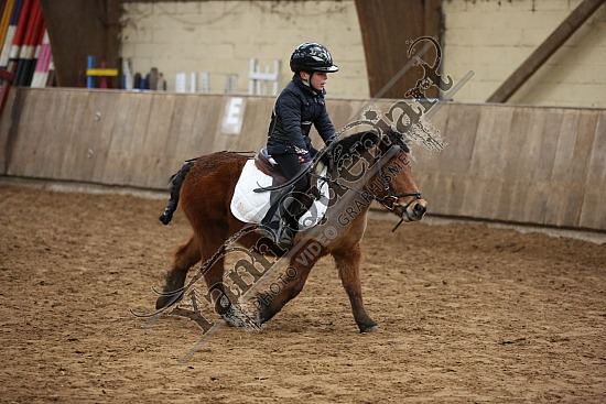 8Q2B7460.jpg Dimanche 1 Février 2015 - Chevalerie de la Bretèque - Equifun 