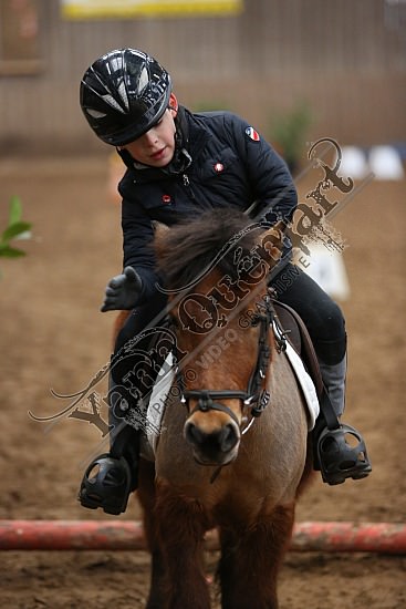8Q2B7475.jpg Dimanche 1 Février 2015 - Chevalerie de la Bretèque - Equifun 