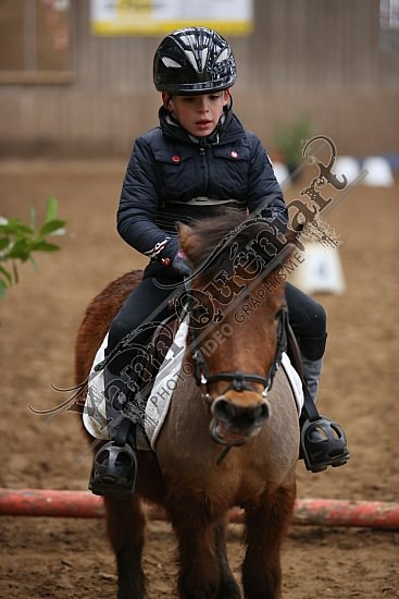 8Q2B7473.jpg Dimanche 1 Février 2015 - Chevalerie de la Bretèque - Equifun 