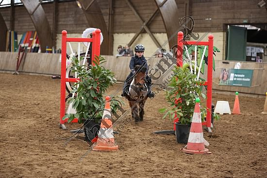 8Q2B7465.jpg Dimanche 1 Février 2015 - Chevalerie de la Bretèque - Equifun 