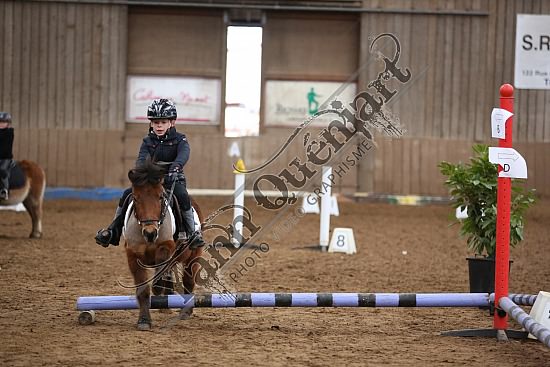 8Q2B7455.jpg Dimanche 1 Février 2015 - Chevalerie de la Bretèque - Equifun 