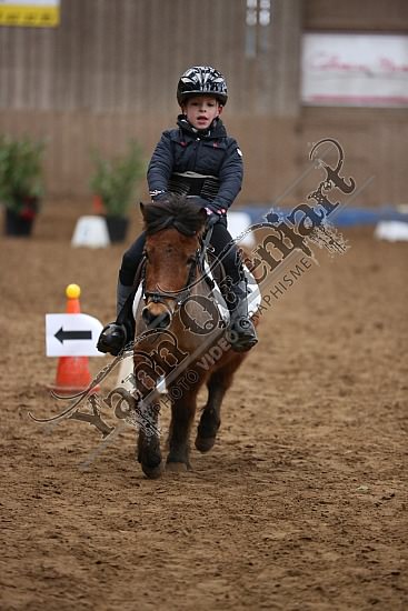 8Q2B7469.jpg Dimanche 1 Février 2015 - Chevalerie de la Bretèque - Equifun 