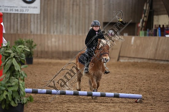 8Q2B7477.jpg Dimanche 1 Février 2015 - Chevalerie de la Bretèque - Equifun 