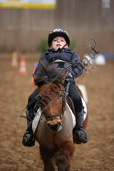 8Q2B7471.jpg Dimanche 1 Février 2015 - Chevalerie de la Bretèque - Equifun 