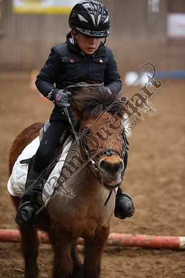 8Q2B7472.jpg Dimanche 1 Février 2015 - Chevalerie de la Bretèque - Equifun 