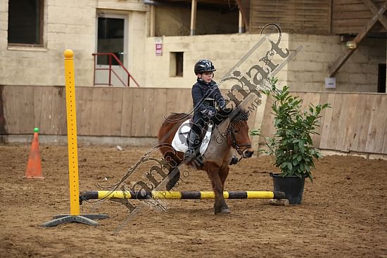 8Q2B7462.jpg Dimanche 1 Février 2015 - Chevalerie de la Bretèque - Equifun 