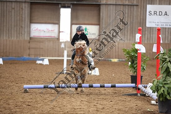 8Q2B7476.jpg Dimanche 1 Février 2015 - Chevalerie de la Bretèque - Equifun 