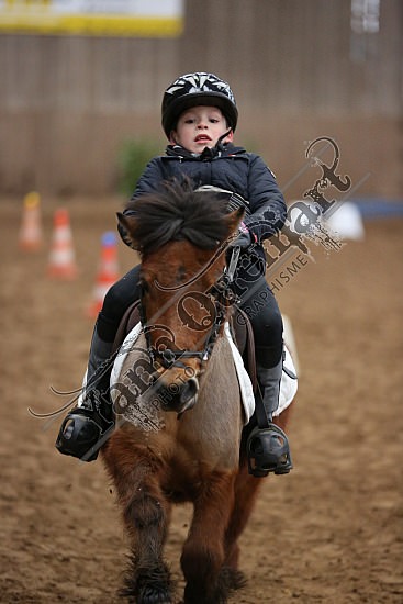 8Q2B7470.jpg Dimanche 1 Février 2015 - Chevalerie de la Bretèque - Equifun 