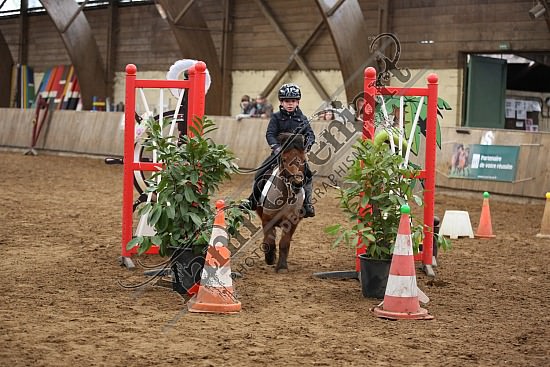 8Q2B7467.jpg Dimanche 1 Février 2015 - Chevalerie de la Bretèque - Equifun 