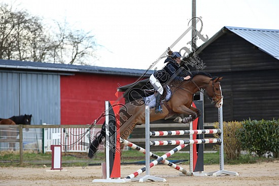 8Q2B8101.jpg Dimanche 23 mars 2014 - Ecurie Millenium - CSO 