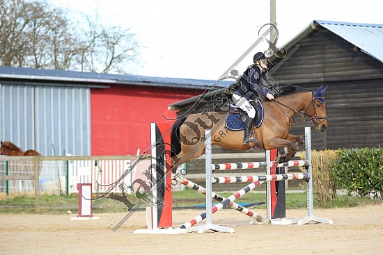 8Q2B8091.jpg Dimanche 23 mars 2014 - Ecurie Millenium - CSO 