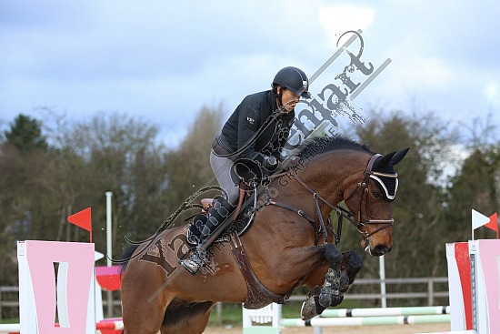 8Q2B8099.jpg Dimanche 23 mars 2014 - Ecurie Millenium - CSO 