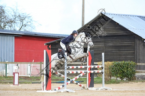 8Q2B8080.jpg Dimanche 23 mars 2014 - Ecurie Millenium - CSO 