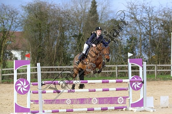 8Q2B8093.jpg Dimanche 23 mars 2014 - Ecurie Millenium - CSO 