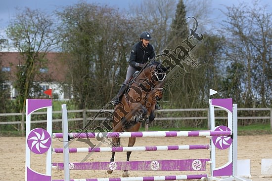 8Q2B8098.jpg Dimanche 23 mars 2014 - Ecurie Millenium - CSO 