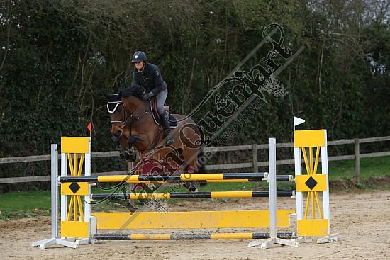 8Q2B8100.jpg Dimanche 23 mars 2014 - Ecurie Millenium - CSO 