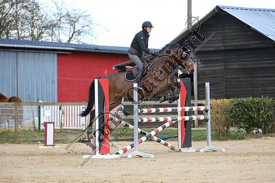 8Q2B8096.jpg Dimanche 23 mars 2014 - Ecurie Millenium - CSO 