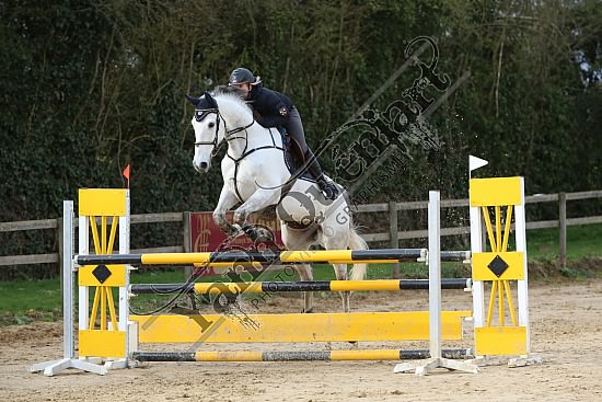 8Q2B8090.jpg Dimanche 23 mars 2014 - Ecurie Millenium - CSO 