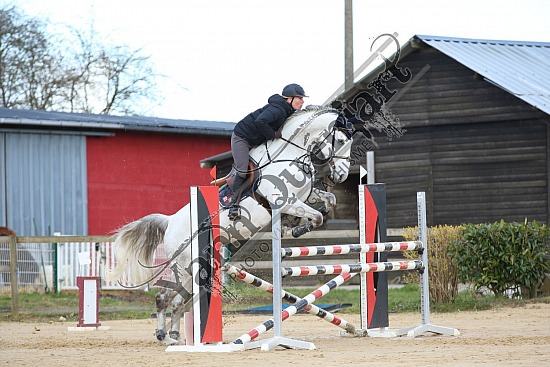 8Q2B8086.jpg Dimanche 23 mars 2014 - Ecurie Millenium - CSO 