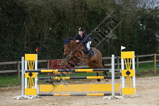8Q2B8095.jpg Dimanche 23 mars 2014 - Ecurie Millenium - CSO 