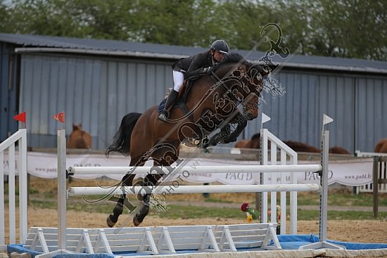 AS7V4211.jpg Vendredi 4, Samedi 5 et Dimanche 6 Avril 2014 - Ecurie Millenium - CSO 