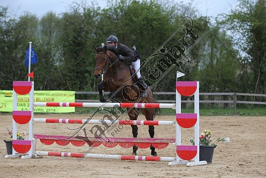 AS7V4196.jpg Vendredi 4, Samedi 5 et Dimanche 6 Avril 2014 - Ecurie Millenium - CSO 