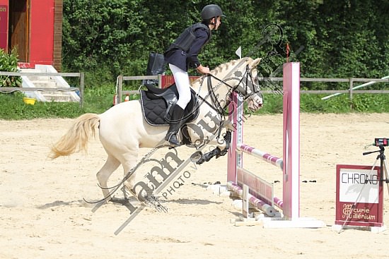 IMG_9631.jpg Samedi 14 et Dimanche 15 Juin 2014 - Ecurie Millenium - CSO 