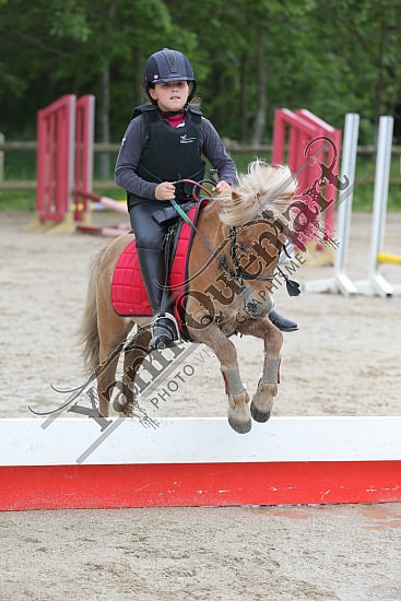 AS7V9934.jpg Jeudi 29 Mai 2014 - Ecurie du val - CSO 