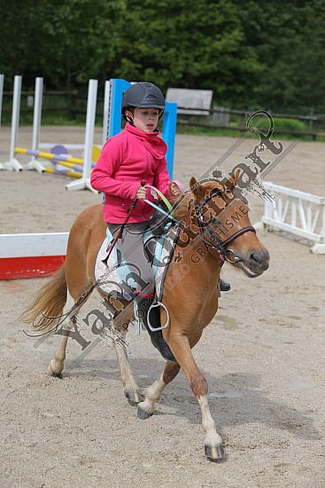 AS7V9917.jpg Jeudi 29 Mai 2014 - Ecurie du val - CSO 