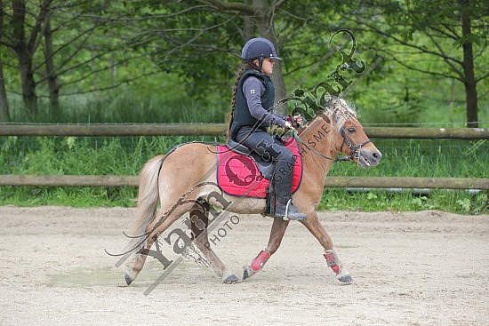 AS7V9926.jpg Jeudi 29 Mai 2014 - Ecurie du val - CSO 