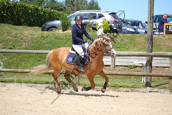 C29A3266.jpg 10-11-12 Juillet 2020 : Ecuries de Saint Paër - CSO Club, Poney & Préparatoire 
