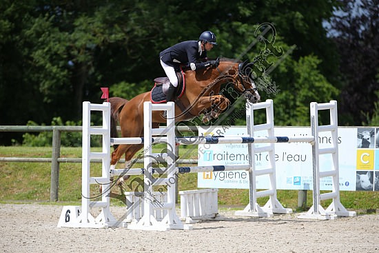 AS7V6902.jpg 3-4 Juillet 2021 : Team Touriste, Quincampoix - CSO Amateur, Pro & Préparatoire Pierre Antoin FREBOURG,