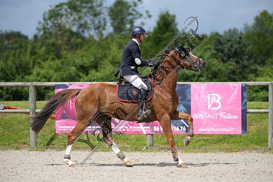 AS7V6905.jpg 3-4 Juillet 2021 : Team Touriste, Quincampoix - CSO Amateur, Pro & Préparatoire Pierre Antoin FREBOURG,