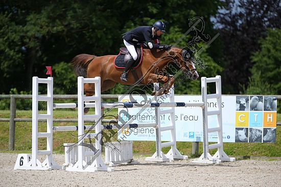 AS7V6903.jpg 3-4 Juillet 2021 : Team Touriste, Quincampoix - CSO Amateur, Pro & Préparatoire Pierre Antoin FREBOURG,