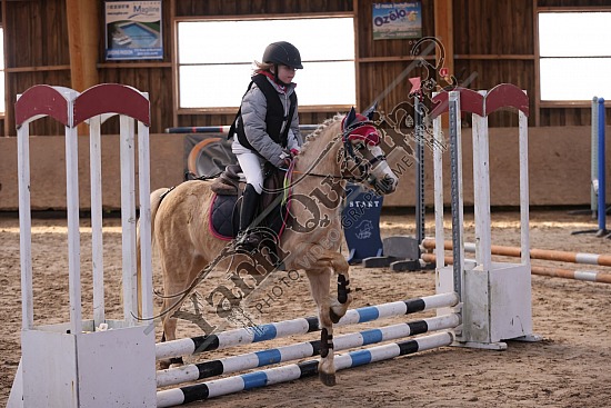 3K2A3567.jpg 27 Février 2022 : Ecuries Lefebvre, Quincampoix - CSO Club, Poney & Préparatoire 