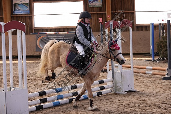 3K2A3568.jpg 27 Février 2022 : Ecuries Lefebvre, Quincampoix - CSO Club, Poney & Préparatoire 