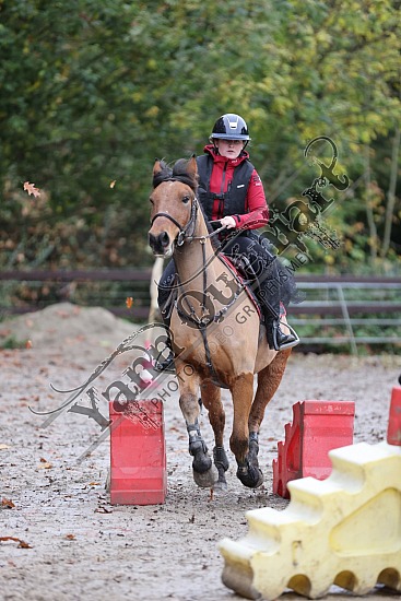 3K2A2113.jpg 30 Octobre 2022 : Ecurie du Val, Hautot sur Mer - Equifun Club & Poney 