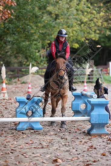 3K2A2120.jpg 30 Octobre 2022 : Ecurie du Val, Hautot sur Mer - Equifun Club & Poney 