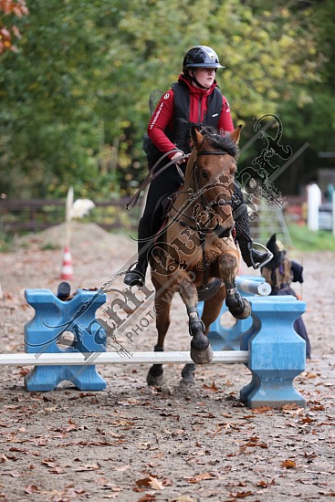 3K2A2123.jpg 30 Octobre 2022 : Ecurie du Val, Hautot sur Mer - Equifun Club & Poney 