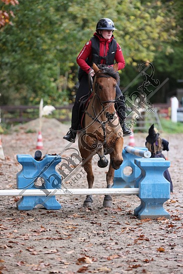 3K2A2122.jpg 30 Octobre 2022 : Ecurie du Val, Hautot sur Mer - Equifun Club & Poney 