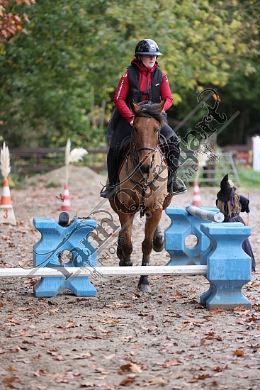3K2A2121.jpg 30 Octobre 2022 : Ecurie du Val, Hautot sur Mer - Equifun Club & Poney 
