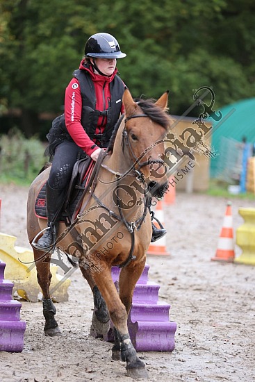 3K2A2117.jpg 30 Octobre 2022 : Ecurie du Val, Hautot sur Mer - Equifun Club & Poney 