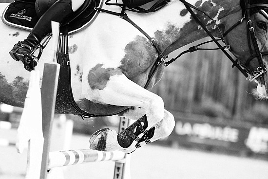 10-11-12 Mars 2023 : Ecuries Lefebvre, Quincampoix - CSO Amateur, Pro & Préparatoire