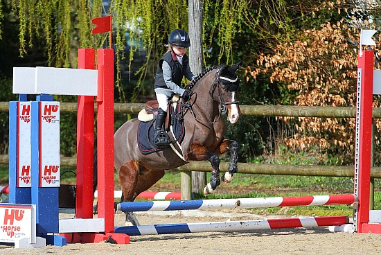 19 Mars 2023 : Ecuries de Saint Paër - CSO Club, Poney & Préparatoire