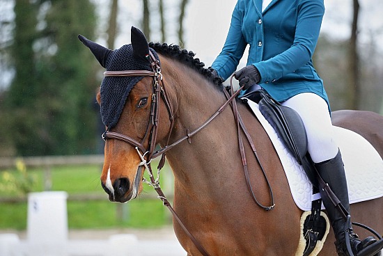 26 Mars 2023 : CFA d'Yvetot - Dressage