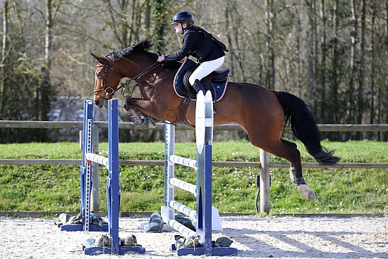 24-25-26 Mars 2023 : Ecuries Lefebvre, Quincampoix - CSO Amateur, Pro & Préparatoire