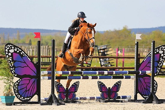 16 Avril 2023 : Parc équestre des Sablons, Val de Reuil - CSO Club, Poney & Préparatoire