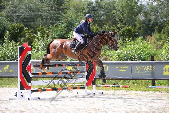 AS7V8755.jpg 25-26-27 Aout 2023 : Parc équestre des Sablons, Val de Reuil - CSO Amateur, Pro & Préparatoire 